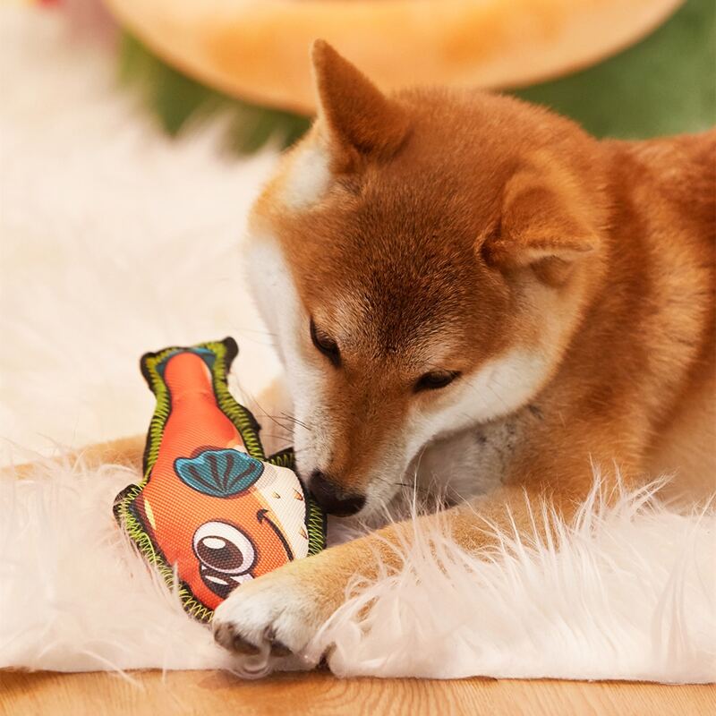 

Fish Shaped Pet Plush Toy, Orange