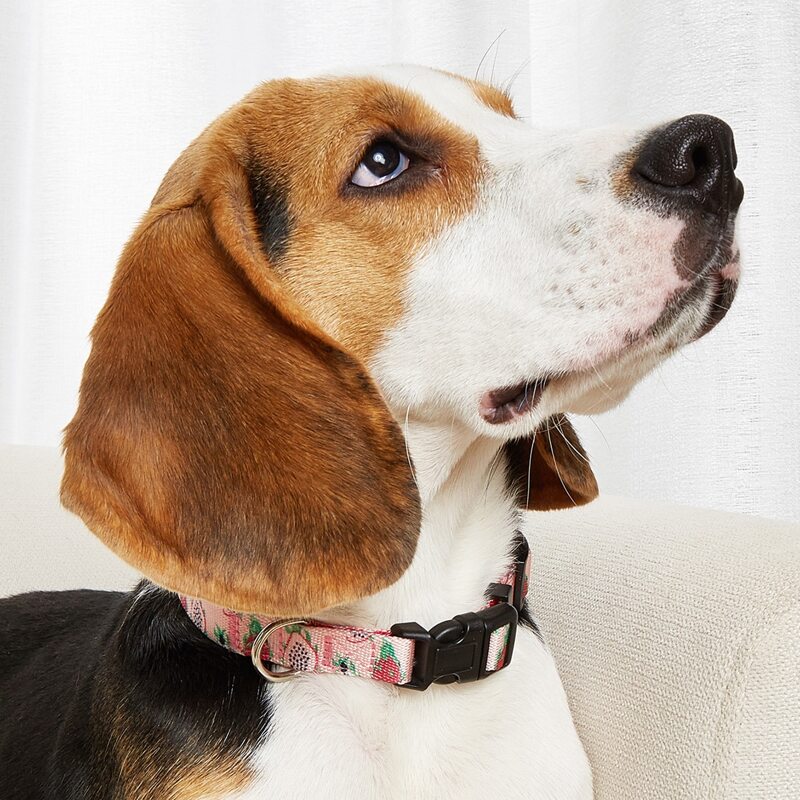 

1pc Strawberry Print Pet Collar, Multicolor