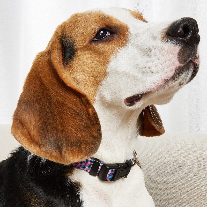 

1pc Leopard Print Pet Collar, Multicolor