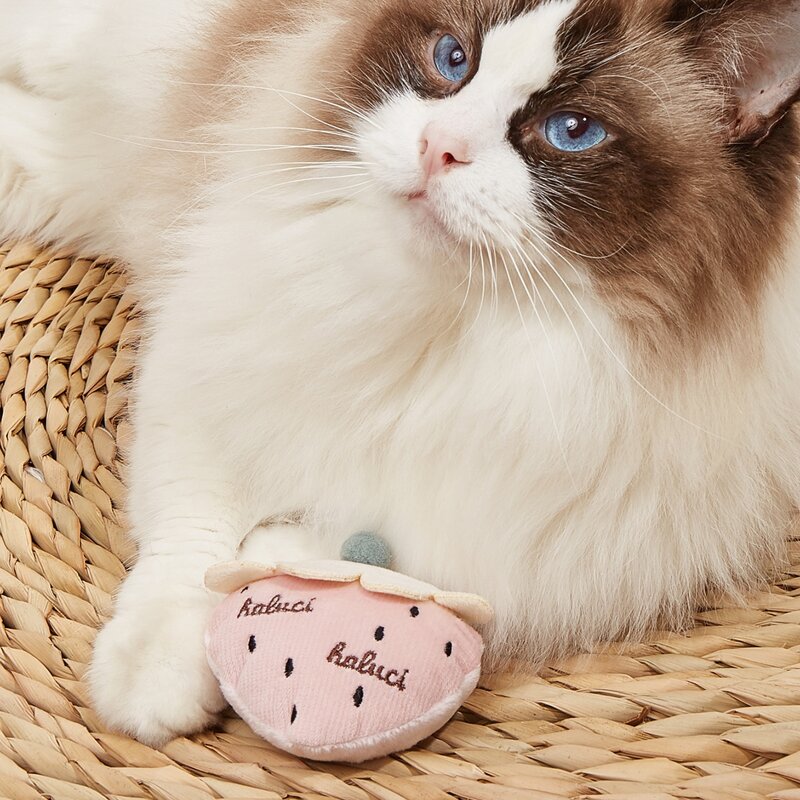 

Strawberry Shaped Pet Plush Toy, Multicolor