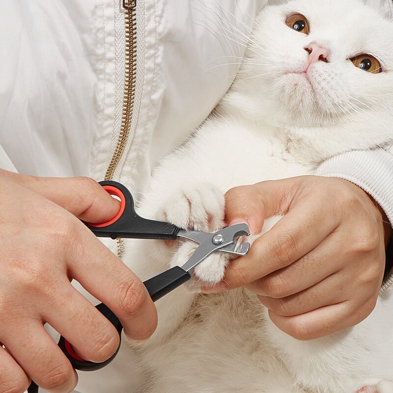 

1pc Pet Nail Clipper, Multicolor
