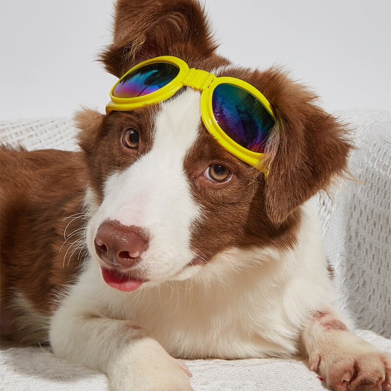 

1pair Minimalist Pet Glasses, Yellow