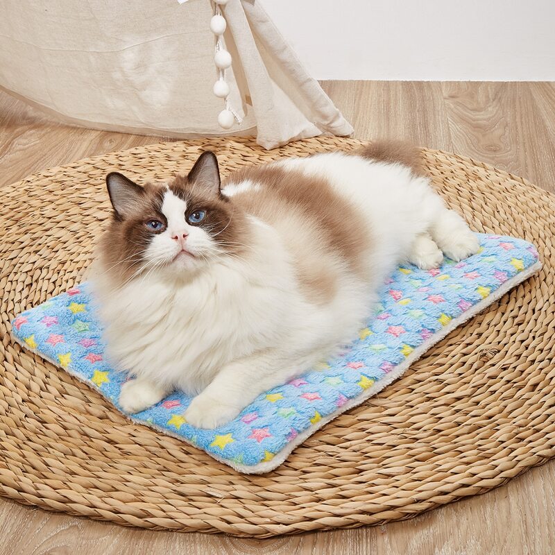 

Star Pattern Pet Mat, Blue