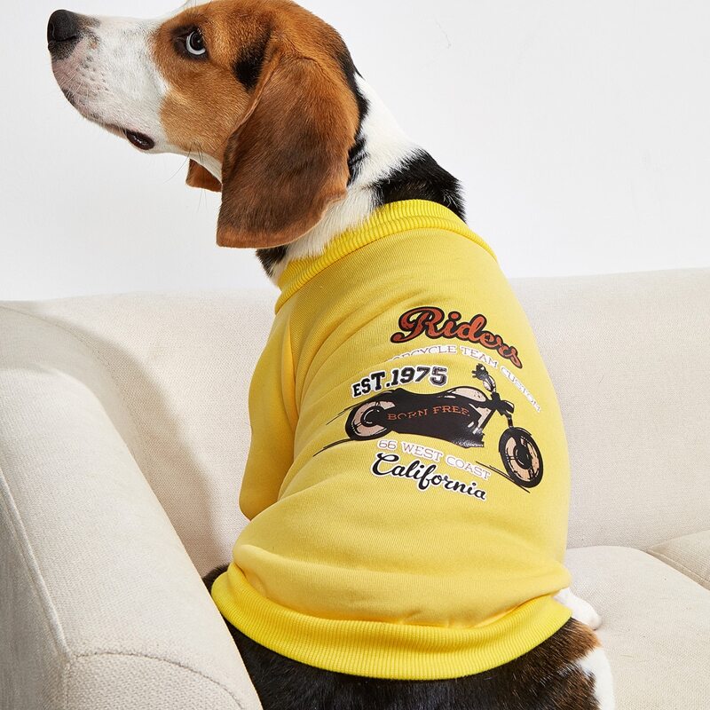 

Letter Graphic Pet Sweatshirt, Yellow