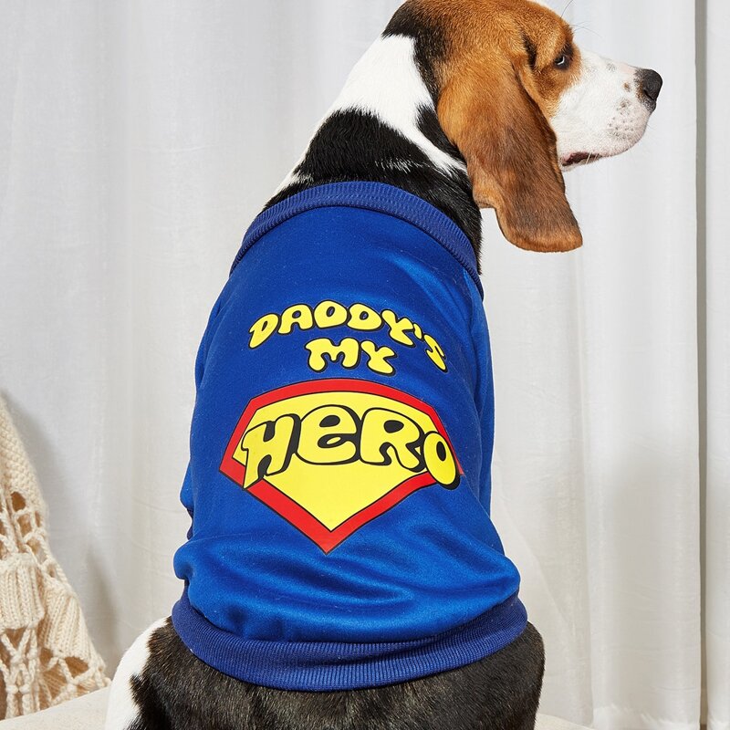 

Letter Graphic Pet Sweatshirt, Blue