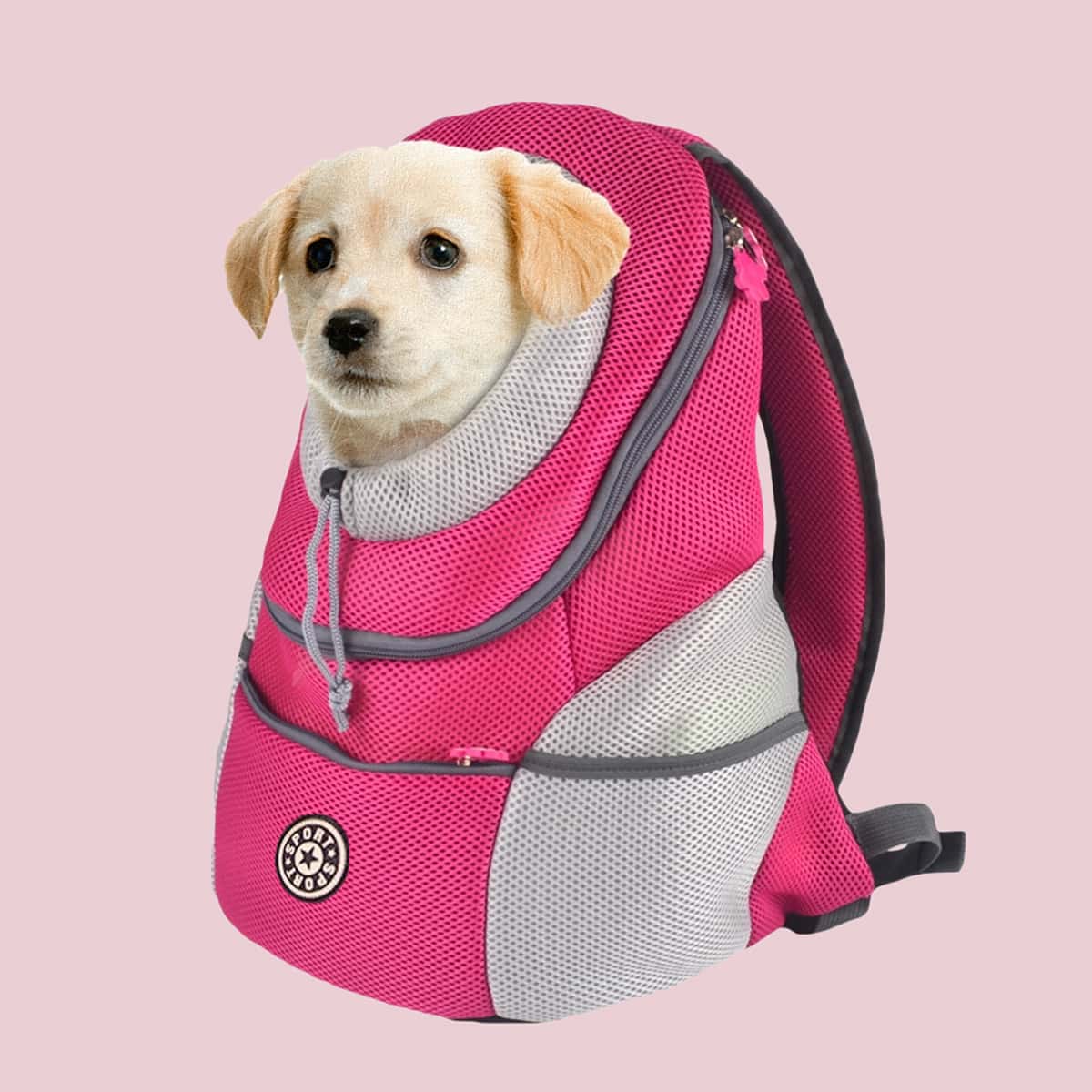 

1pc Color Block Pet Backpack, Multicolor