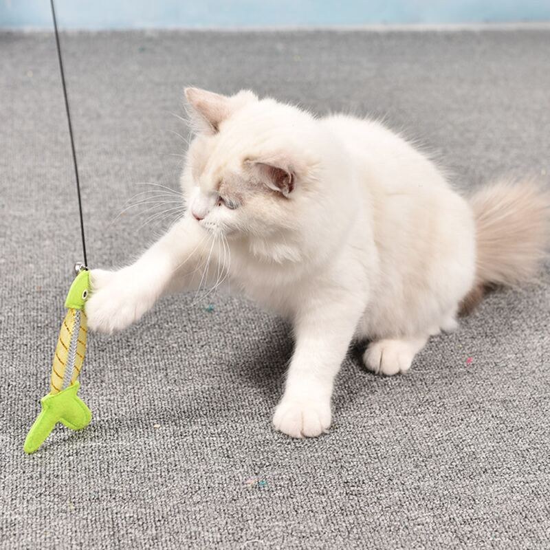 

1pc Random Fish Detail Cat Teaser, Multicolor