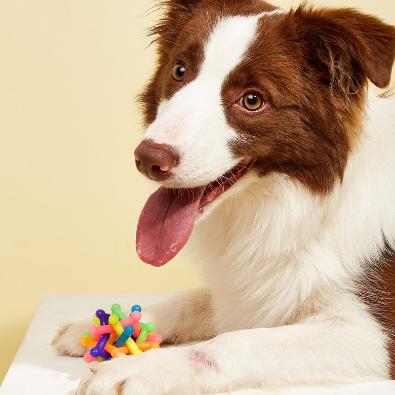 

1pc Bell Pet Sound Toy, Multicolor