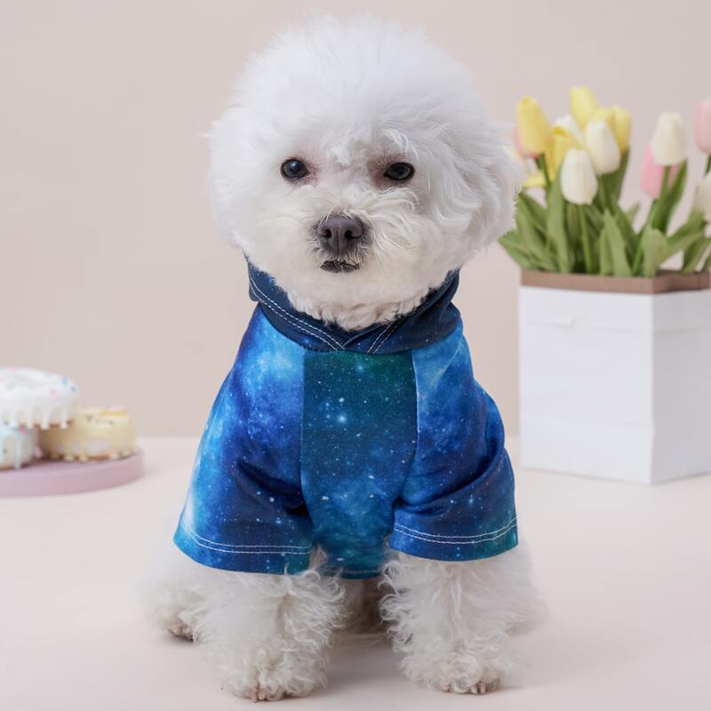 

Galaxy Pattern Pet Hoodie, Multicolor