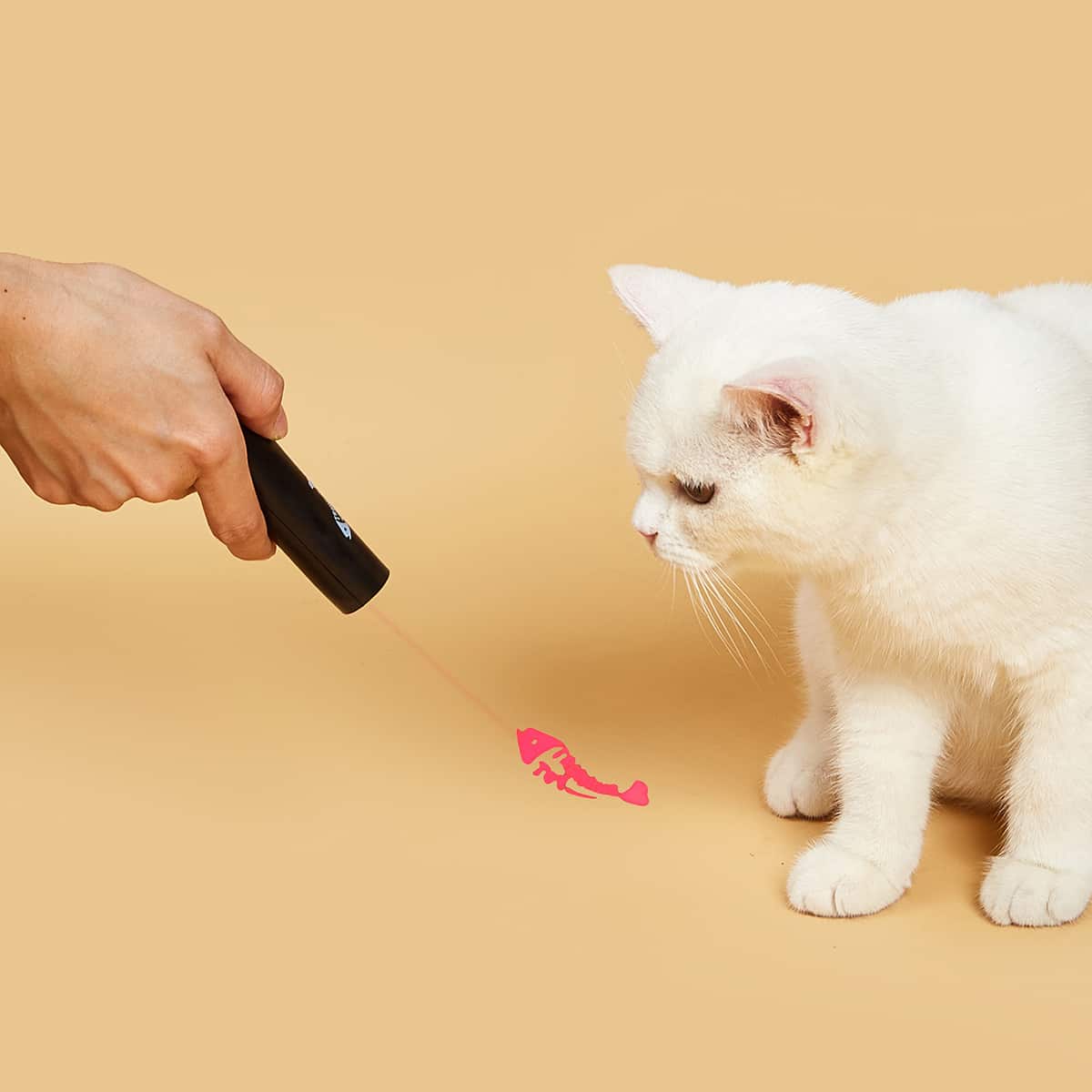 

1pc LED Cat Teaser Laser pointer, Black