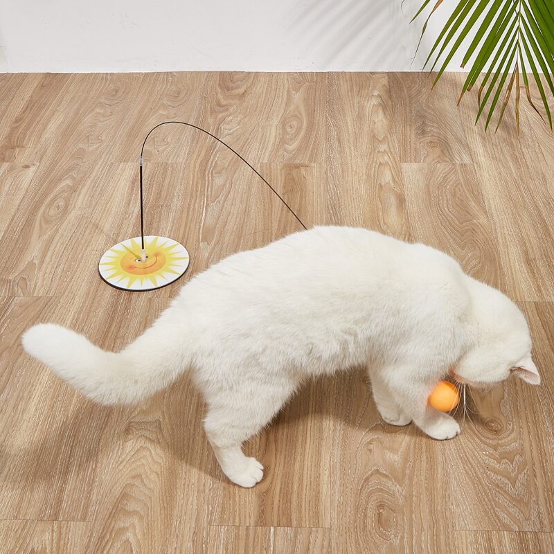 

1pc Cat Teaser Ball, Multicolor