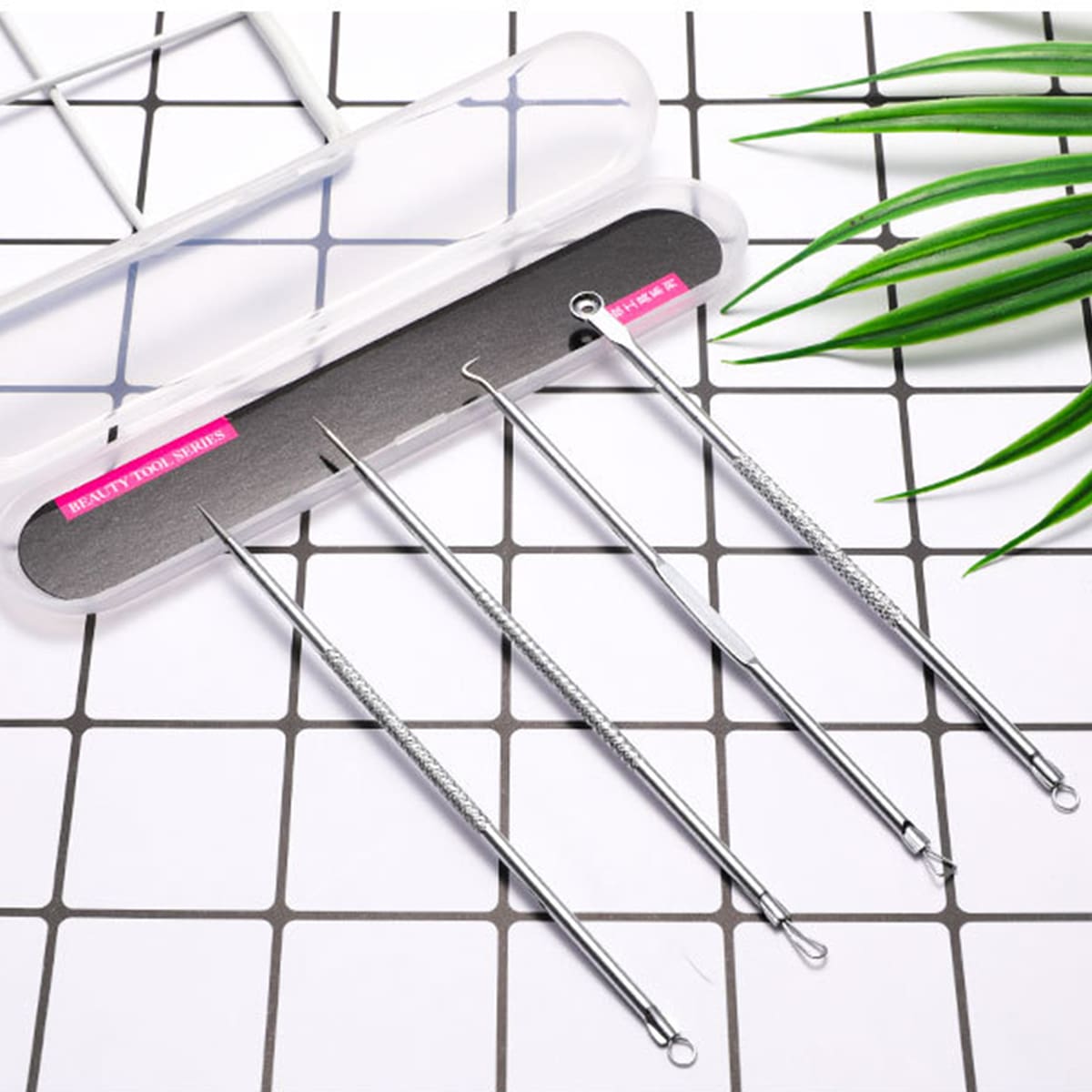 

1set Acne Needle With Box, Silver