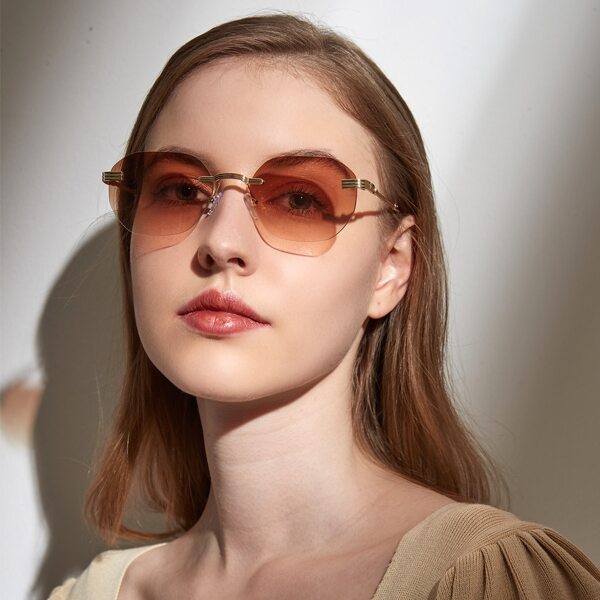 

Rimless Tinted Lens Sunglasses