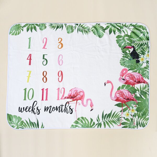 

Newborn Girl Flamingo And Number Print Photography Blanket, Multicolor