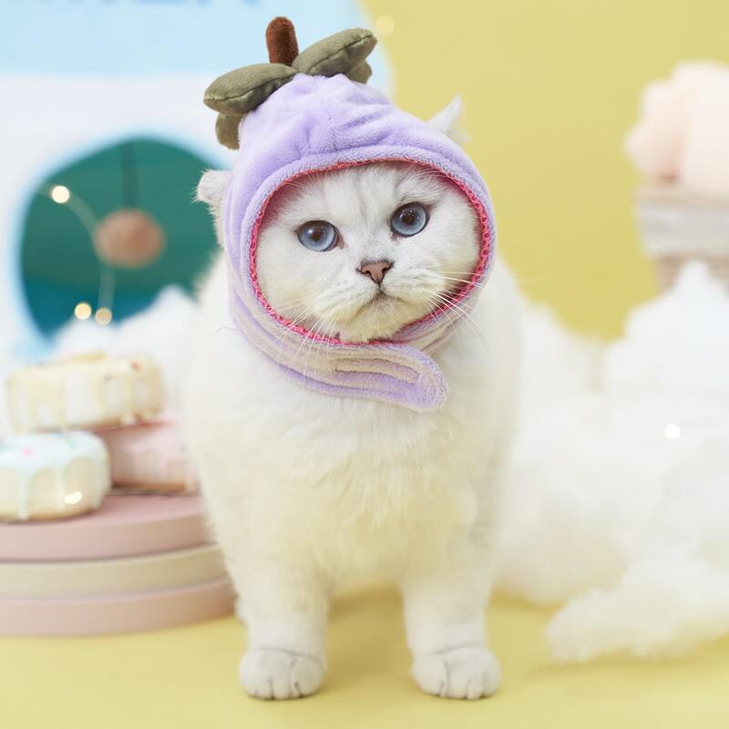 

Mangosteen Design Pet Headwear, Purple