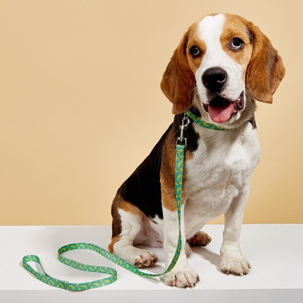 

1pc Banana Print Pet Collar & 1pc Leash, Multicolor