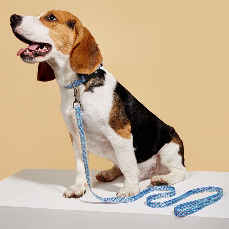 

1pc Geometric Pattern Pet Collar & 1pc Leash, Multicolor