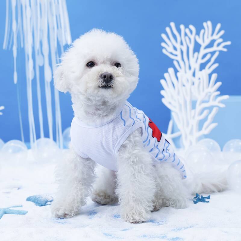 

Cartoon Graphic Pet Tank Top, Blue