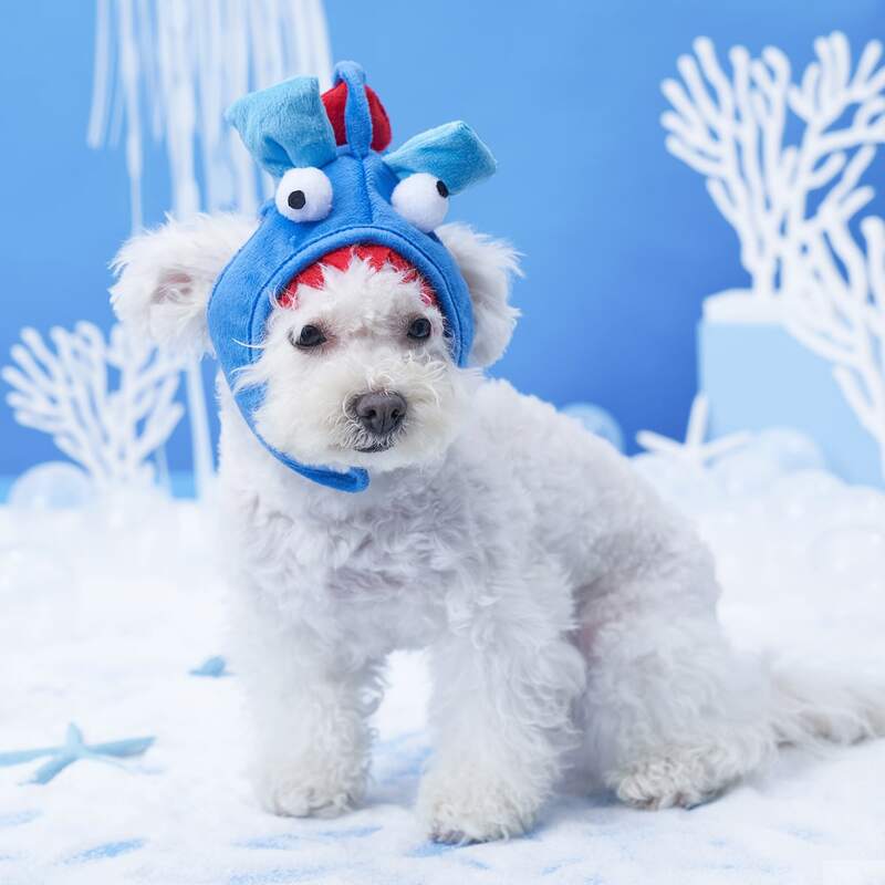 

1pc Cartoon Shark Pet Headwear, Blue