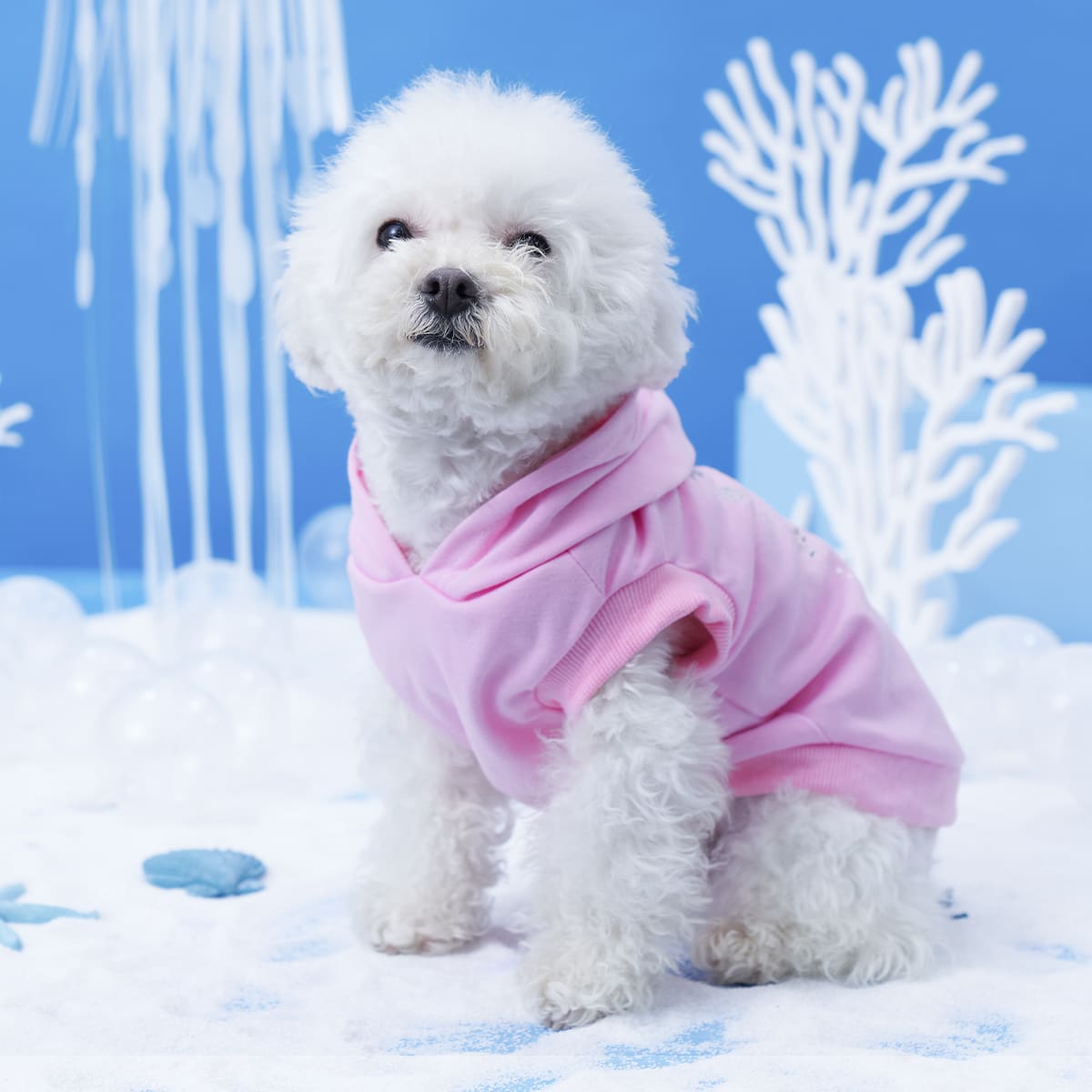 

Cartoon Graphic Pet Hoodie, Pink