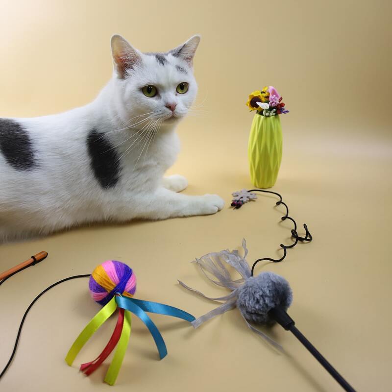 

2pcs Random Cat Teaser Stick, Multicolor