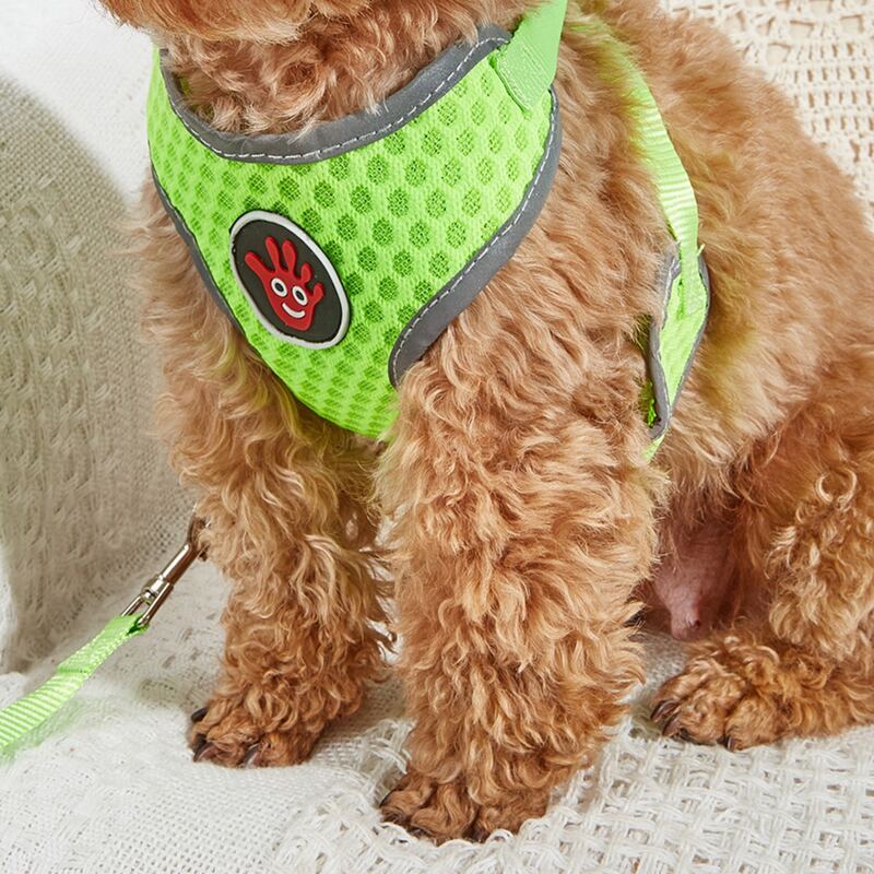 

1pc Breathable Pet Harness & 1pc Leash, Green