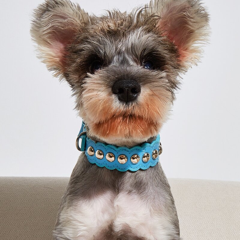 

1pc Solid Color Pet Collar, Blue