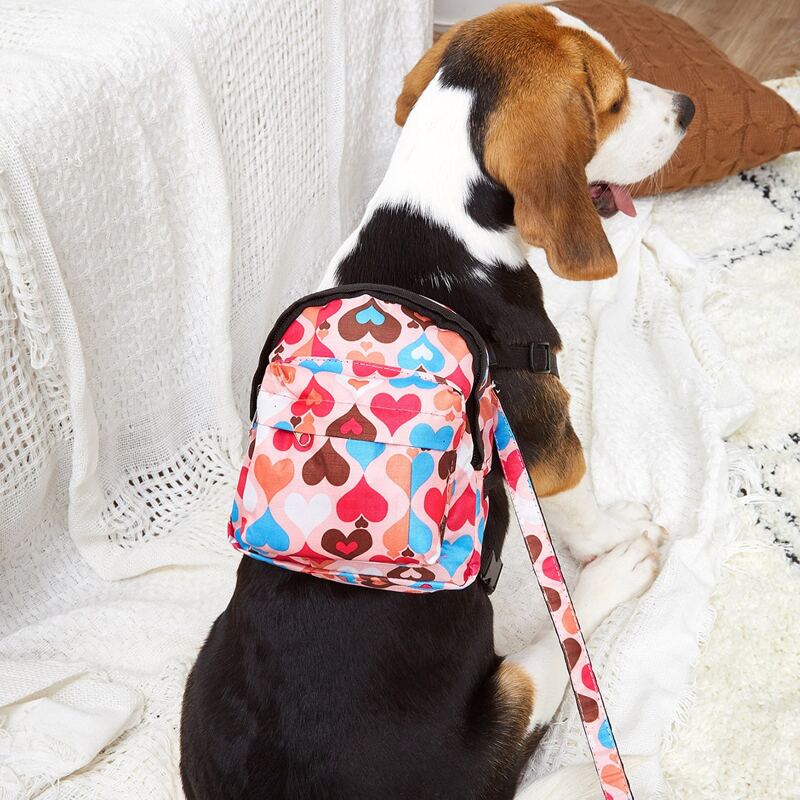 

1pc Heart Print Pet Harness & 1pc Leash, Multicolor