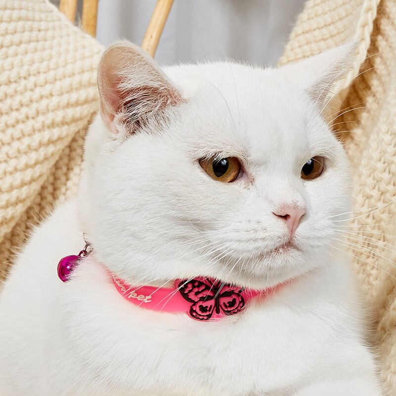 

Butterfly Detail Bell Pet Collar, Pink