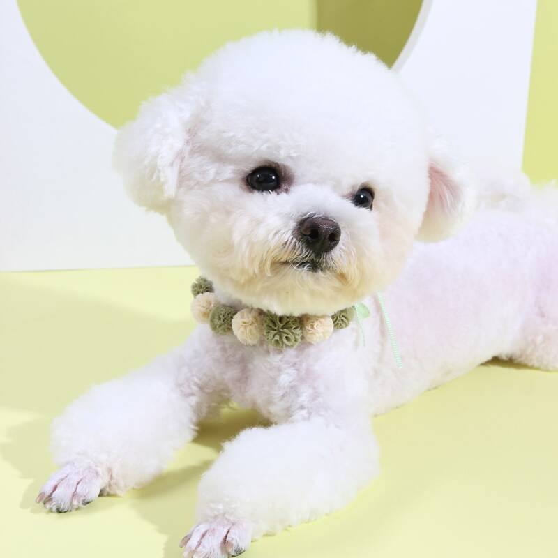 

1pc Mesh Flower Decor Pet Necklace, Green