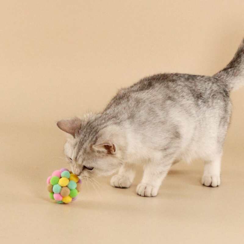 

Ball Shaped Pet Sound Toy, Multicolor