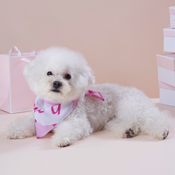 

Slogan Graphic Pet Bandana, Pink