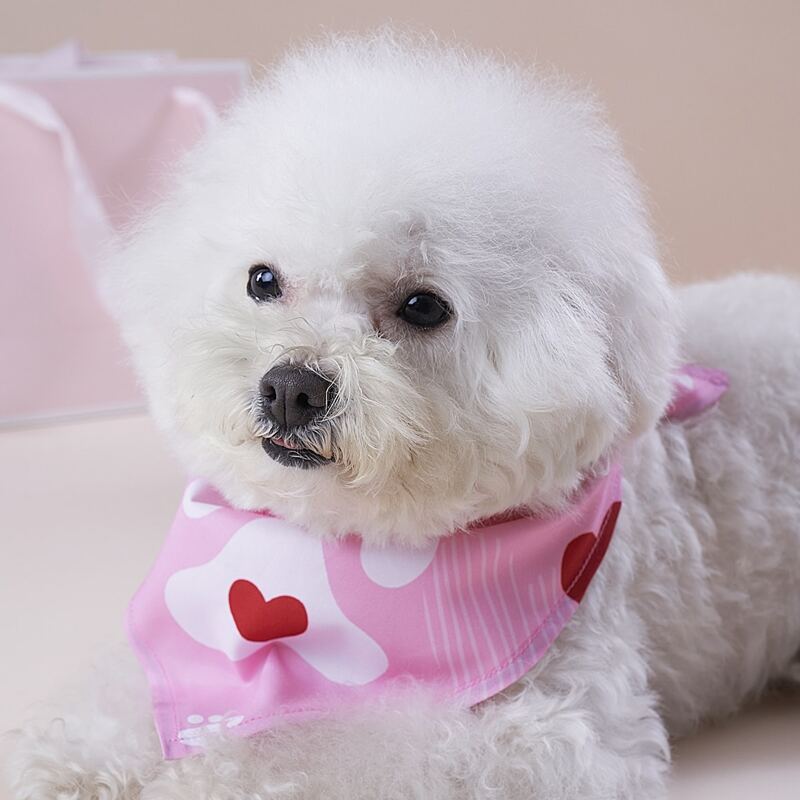

Claw Print Pet Bandana, Pink