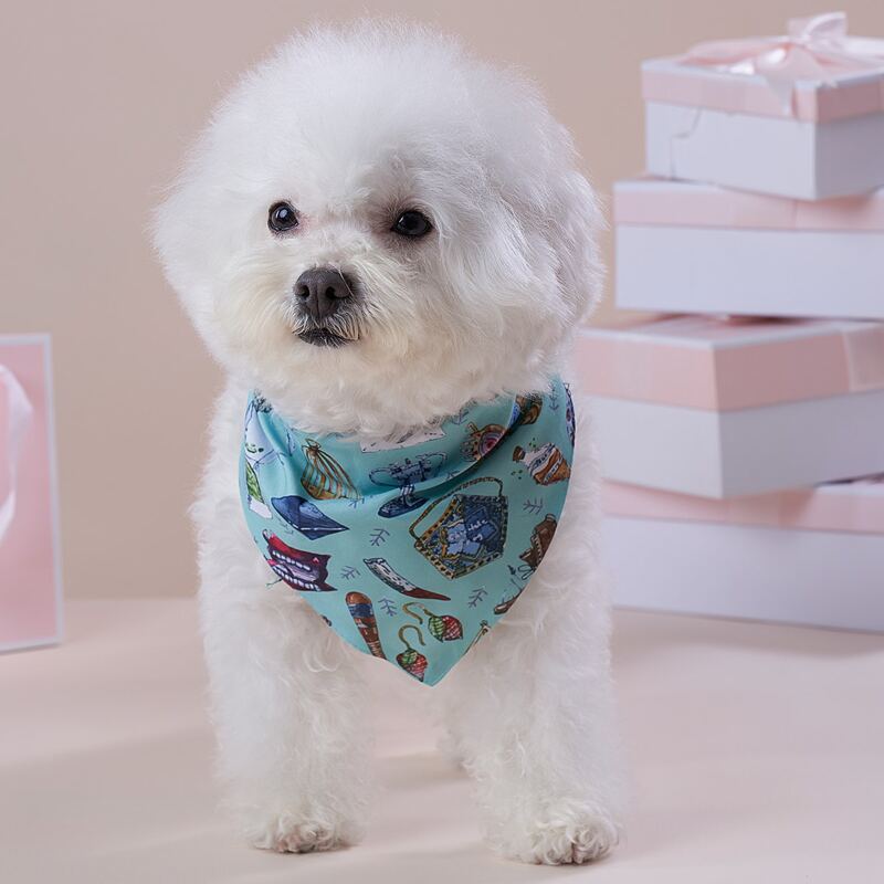 

Graphic Print Pet Bandana, Multicolor