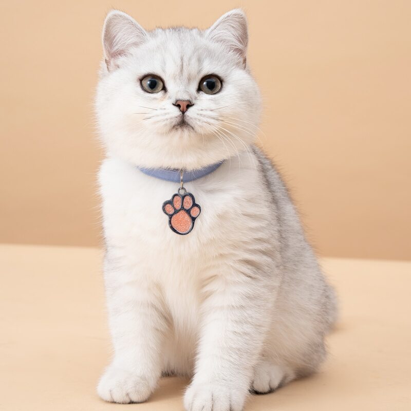 

1pc Pet Claw Pendant Without Collar, Brown