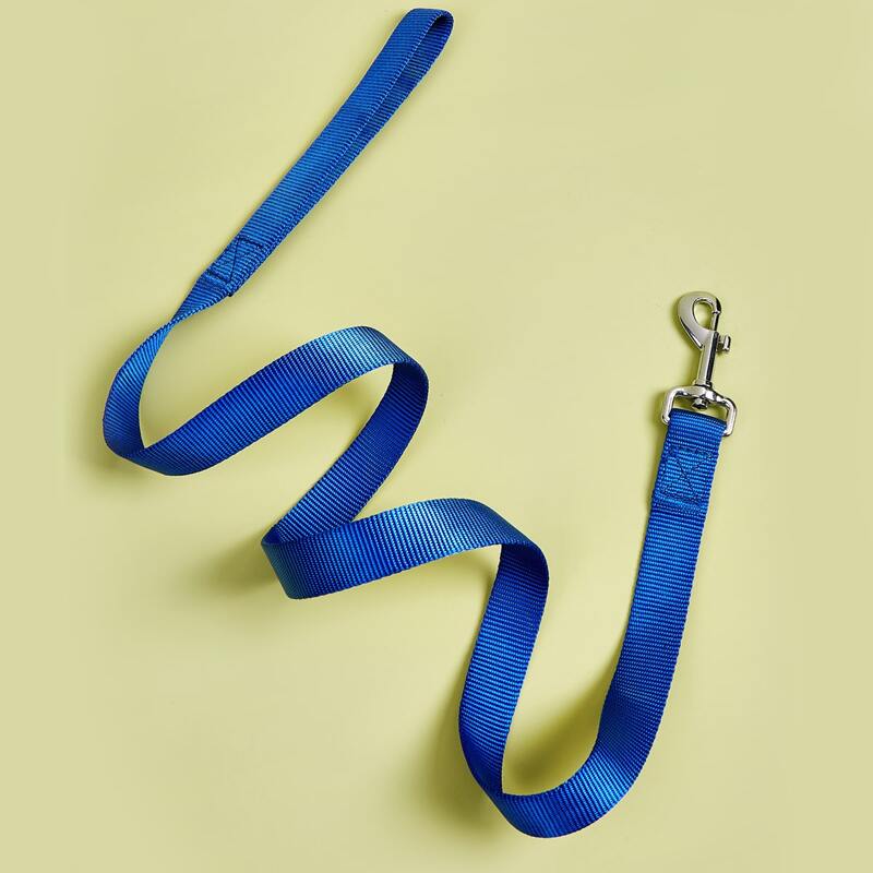 

Nylon Pet Leash, Blue