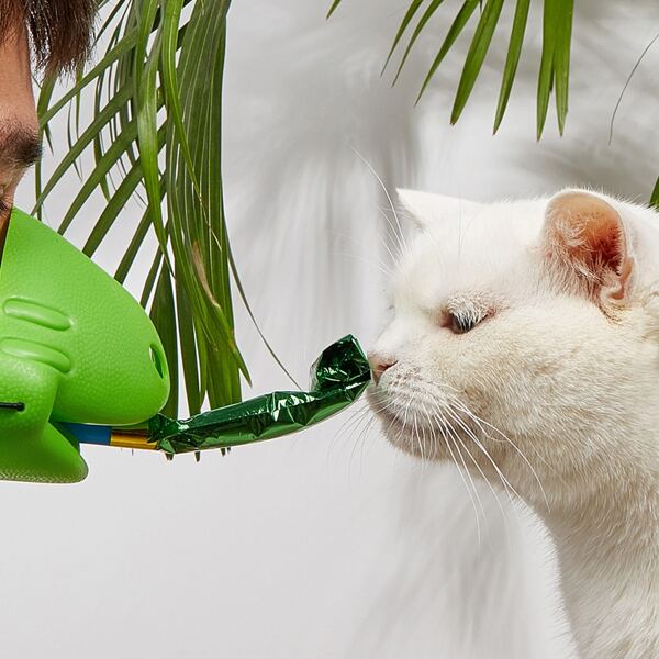 

Blowout Whistle Cat Teaser Toy, Green