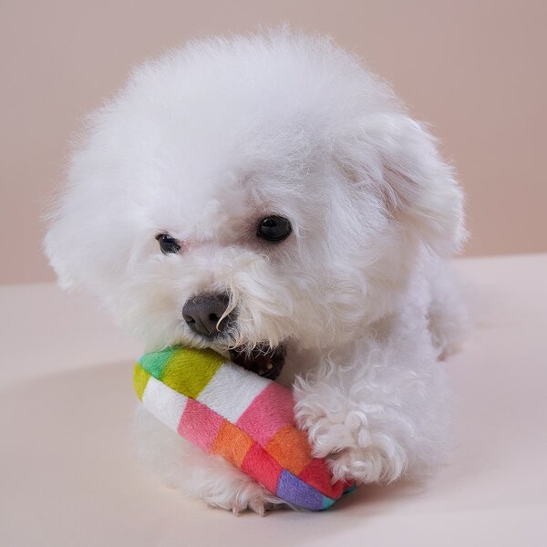 

Rainbow Stripe Bone Pet Sound Toy, Multicolor
