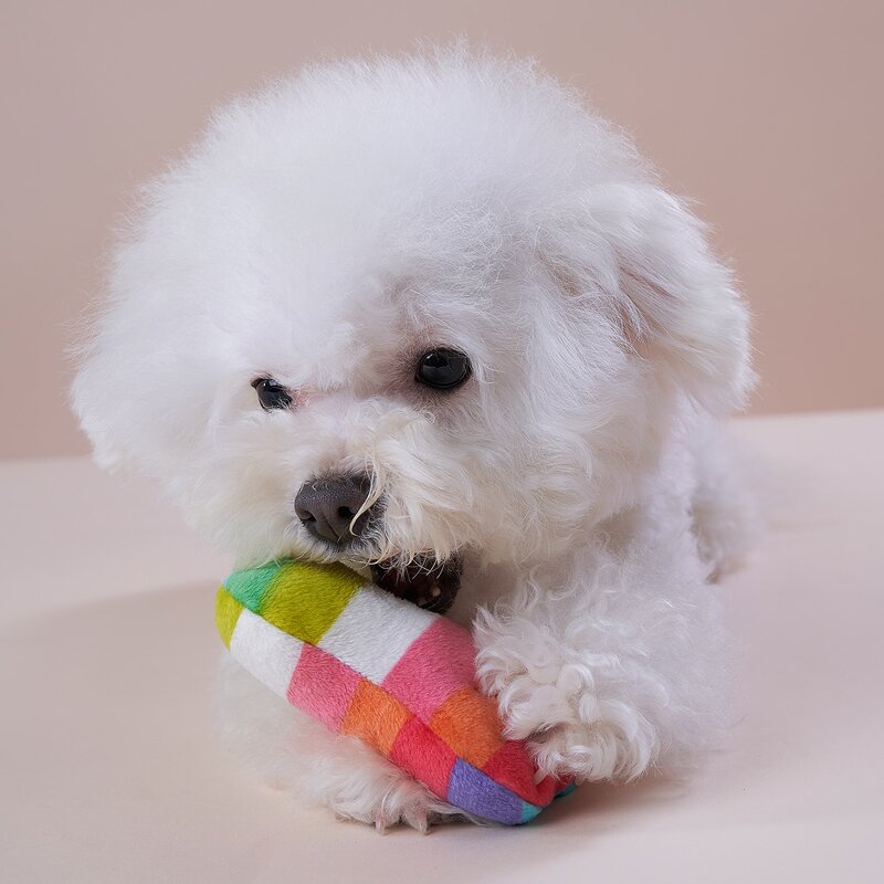 

Rainbow Stripe Bone Pet Sound Toy, Multicolor