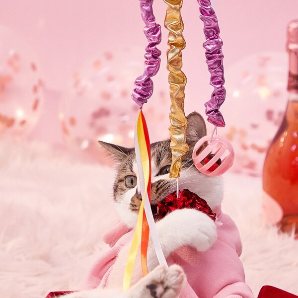 

Tassel Design Cat Teaser Toy, Purple