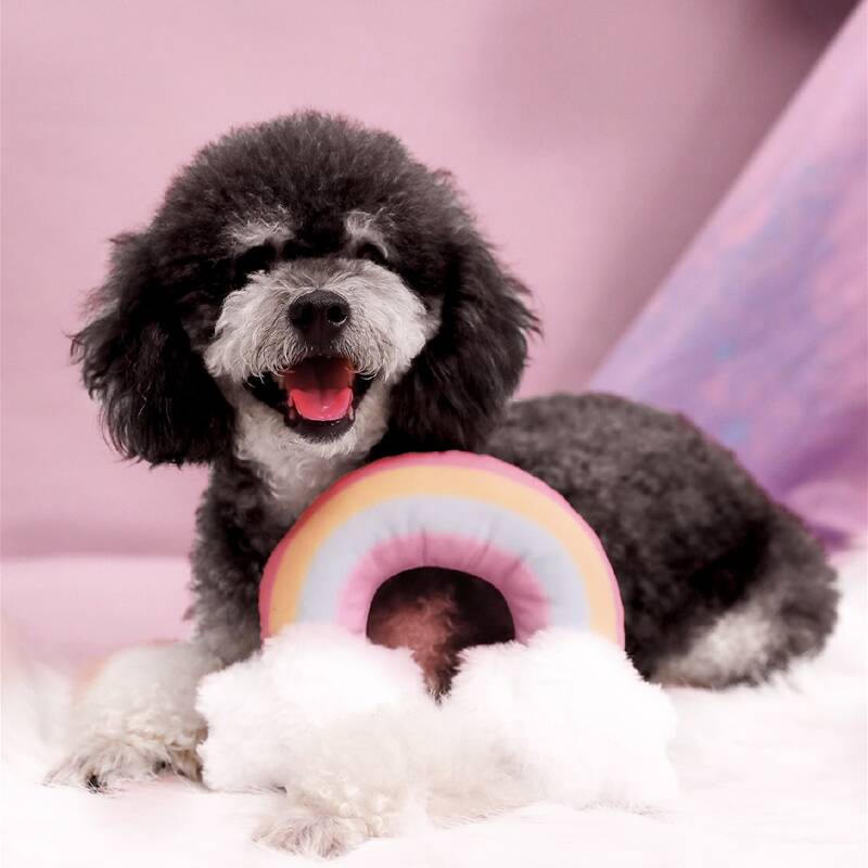 

Rainbow Shaped Pet Sound Toy, Multicolor