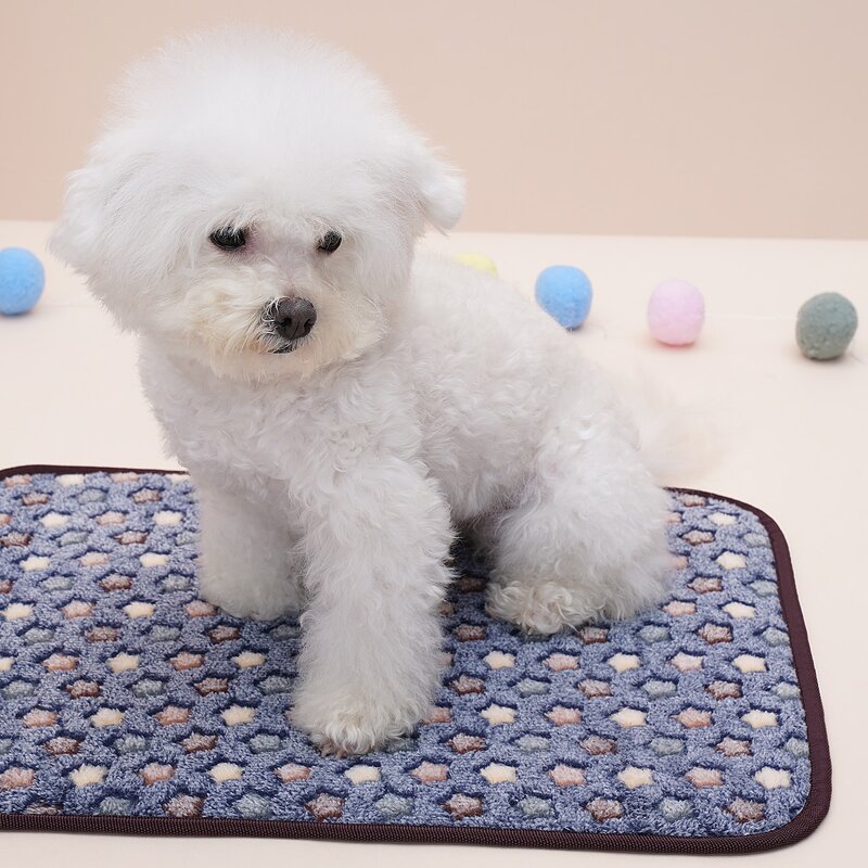 

Star Print Pet Blanket, Multicolor