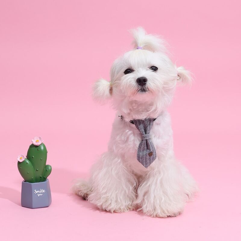 

Striped Pattern Pet Tie, Grey