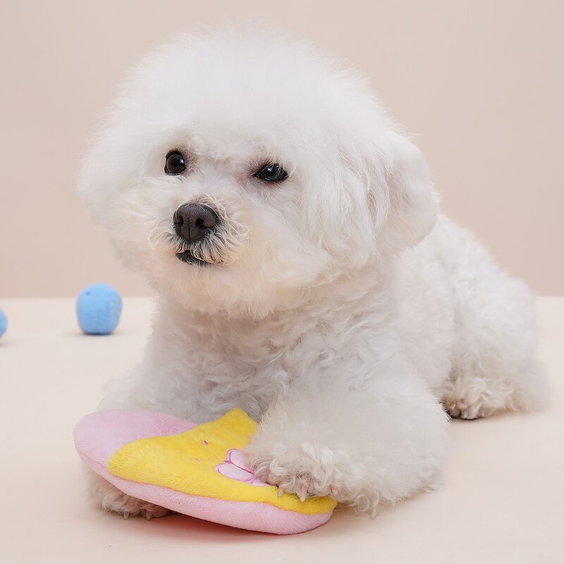 

Slipper Shaped Pet Sound Toy, Multicolor