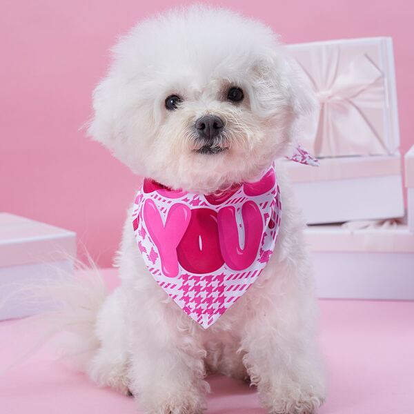 

Slogan Graphic Pet Bandana, Pink