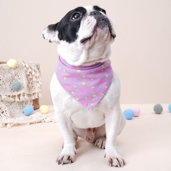 

Star Print Pet Bandana, Purple