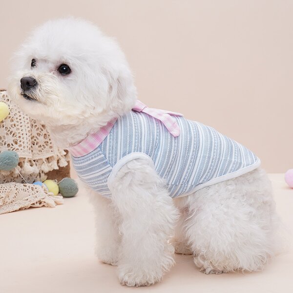 

Letter Graphic Pet Tee, Blue