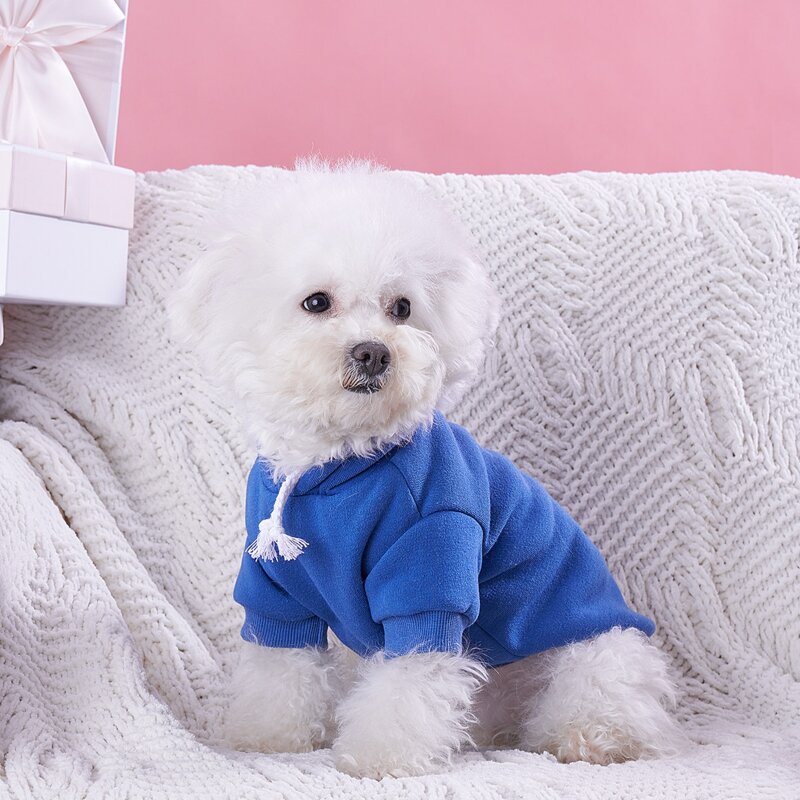 

Plain Pet Hoodie, Blue