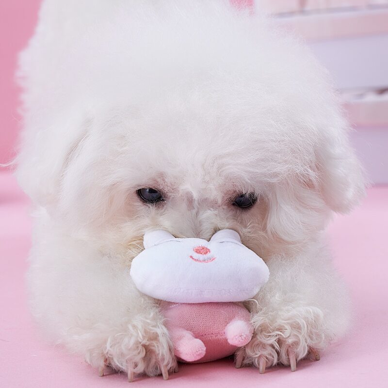 

Rabbit Shaped Pet Sound Toy, Pink