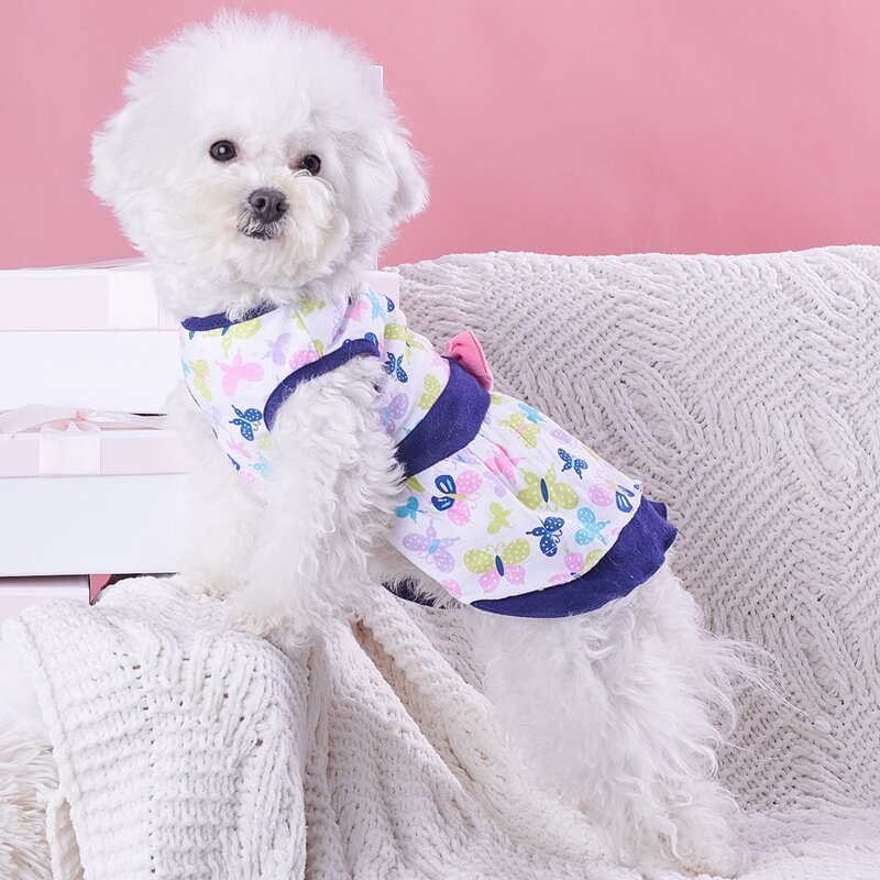 

Butterfly Print Pet Dress, Multicolor